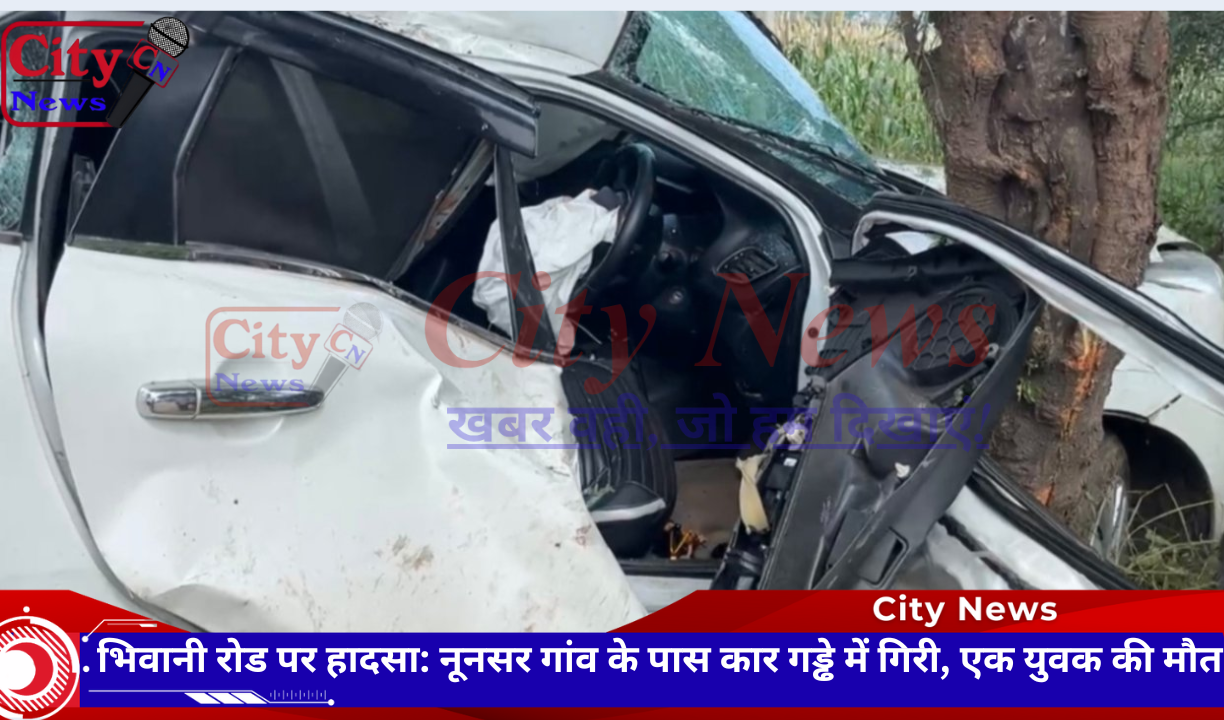 The Art of Baking: From Classic Bread to Artisan Pastries