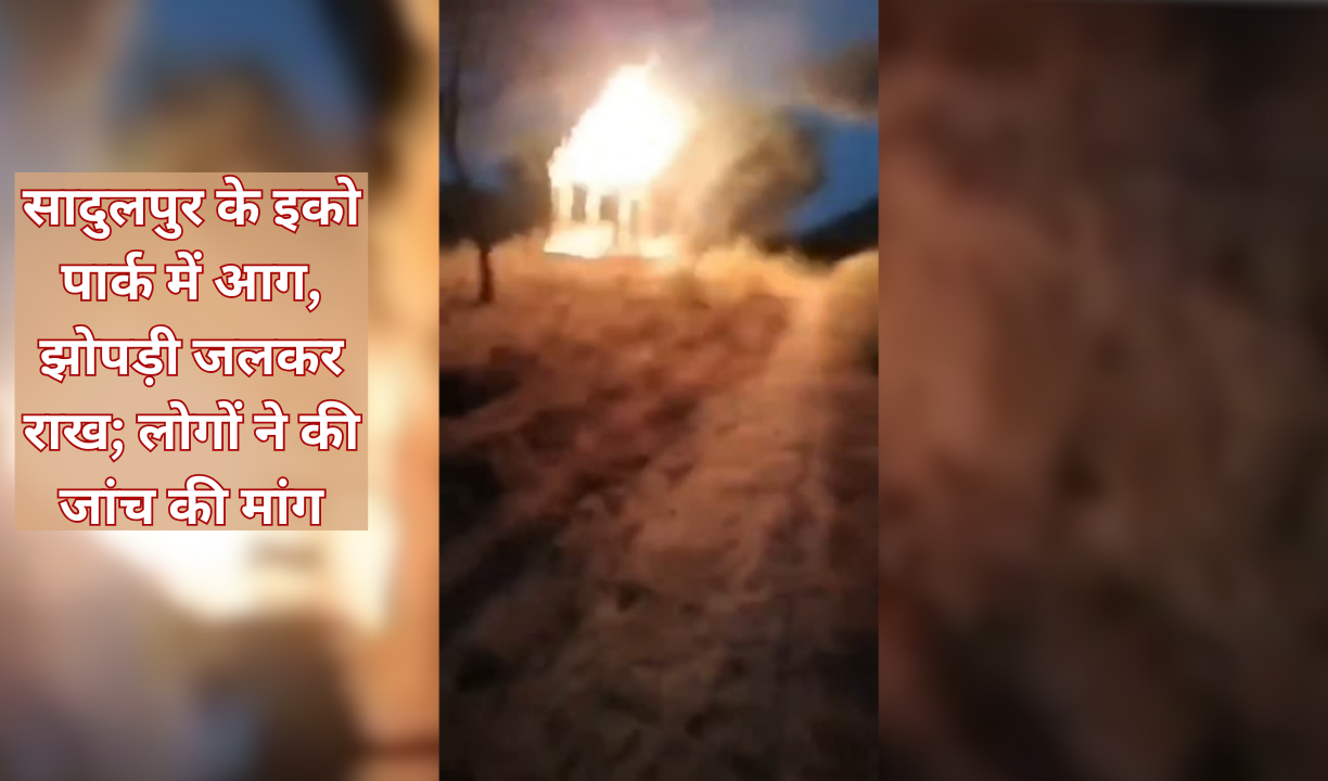 सादुलपुर के इको पार्क में आग, झोपड़ी जलकर राख; लोगों ने की जांच की मांग
