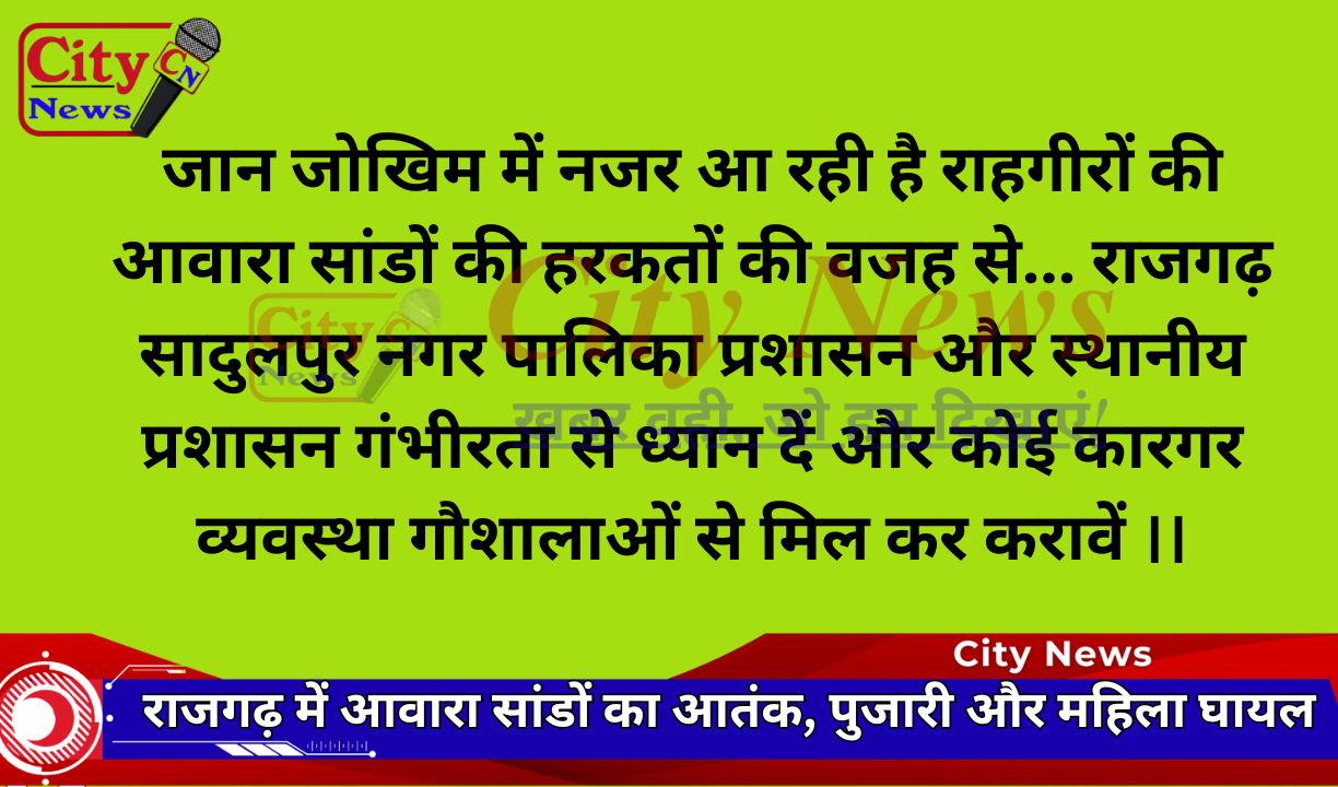 राजगढ़ में आवारा सांडों का आतंक, पुजारी और महिला घायल