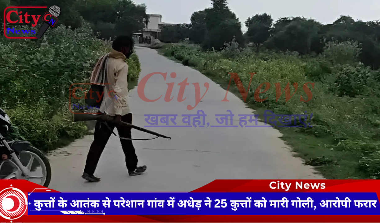 कुत्तों के आतंक से परेशान गांव में अधेड़ ने 25 कुत्तों को मारी गोली, आरोपी फरार